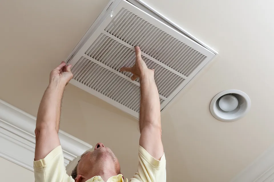 Air Purification